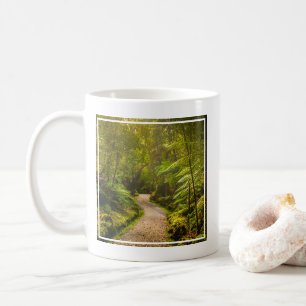 Mug Forêt   Chemin De Marche Dans La Forêt