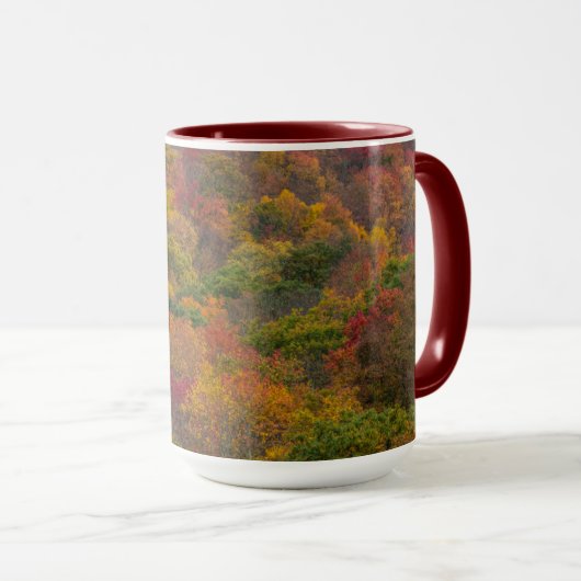 Mug Forêt de feuillus dans le comté de Randolph, Virgi (Devant droit)