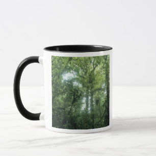 Mug Forêt nuageuse de Monteverde, Costa Rica.