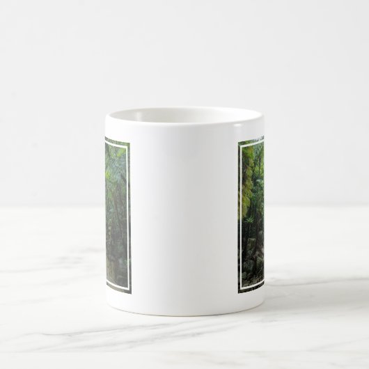Mug Forêt | Parc national Iriomote Ishigaki (Centre)