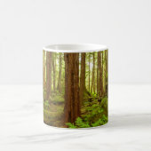Mug Forêt pluviale tempérée de l'Alaska (Centre)