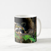 Mug Forêt | Raccoon Peeking (Devant droit)