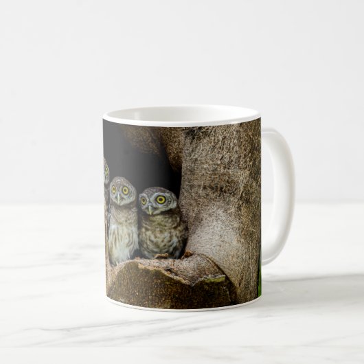 Mug Forêt | Trois Chouettes (Devant droit)
