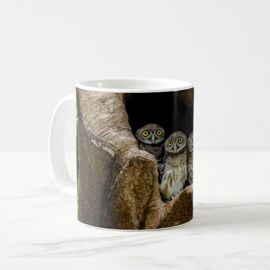 Mug Forêt | Trois Chouettes (Devant gauche)