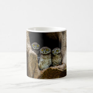 Mug Forêt   Trois Chouettes
