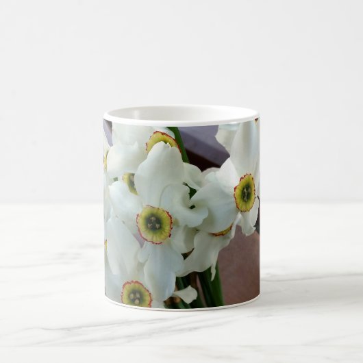 Mug forgotten (Centre)