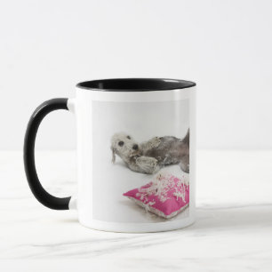 Mug Formation de comportement de chien