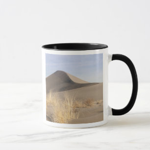 Mug Formations de dunes de sable. Bruneau Dunes State