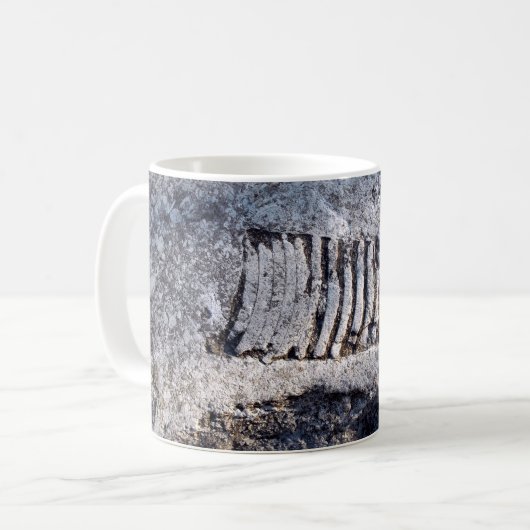 Mug Fossil Nautiloïde Cephalopod Ancien Mollusk (Devant gauche)