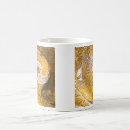 Mug Fossile ammonite (Centre)