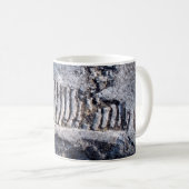 Mug Fossile Céphalopode Nautiloïde Mollusque Marin Anc (Devant droit)