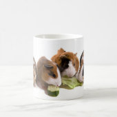 Mug four guinea pigs who eat, (Centre)