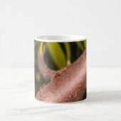 Mug Fourmis de tisserand sur un bois (Centre)