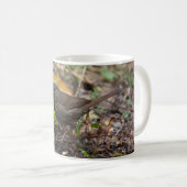 Mug Fox Sparrow (Devant droit)