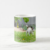 Mug Fox Terrier Funny Scare Face (Centre)
