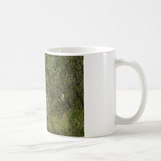 Mug Framboise de cerfs communs de mule