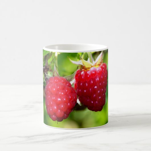 Mug Framboises rouges amusantes (Centre)