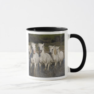 Mug France, Camargue. Les chevaux courent