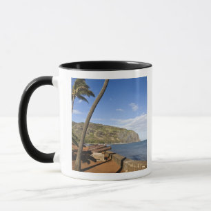 Mug France, Île de la Réunion, St-Denis, vue de La
