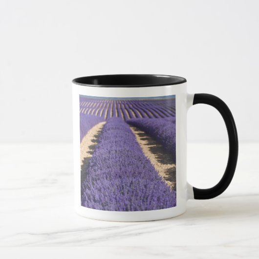 Mug France, Provence. Rangées de lavande en fleurs.3 (Droite)