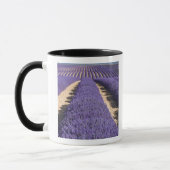 Mug France, Provence. Rangées de lavande en fleurs.3 (Gauche)
