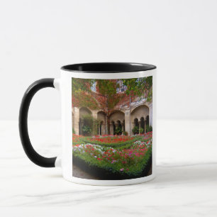 Mug France, St. Remy de Provence, cloîtres à 2