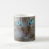 Mug Frankie (Centre)