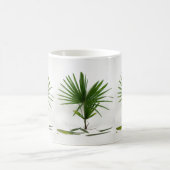 Mug Freshly Harvested Rhapis Excelsa (Lady Palm) (Centre)