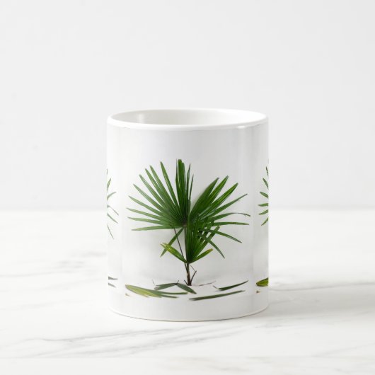 Mug Freshly Harvested Rhapis Excelsa (Lady Palm) (Centre)