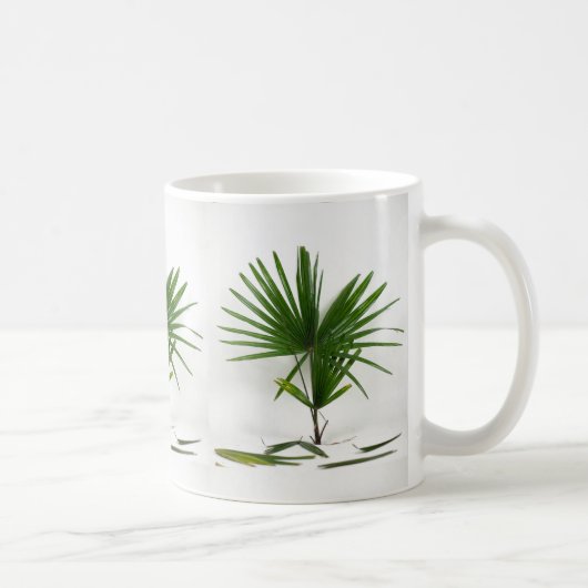Mug Freshly Harvested Rhapis Excelsa (Lady Palm) (Droite)