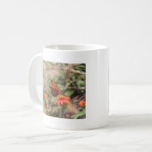 Mug Fritillaire du Golfe sur Zinnia (Devant gauche)