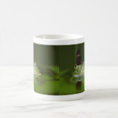 Mug Frog and butterfly (Centre)