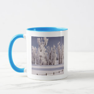 Mug Frost a couvert les arbres et la barrière, le