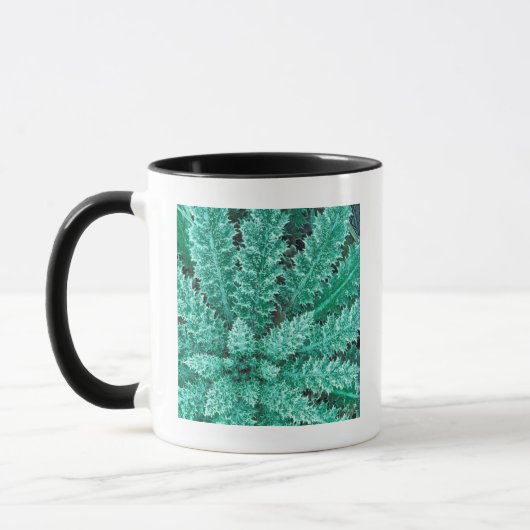 Mug Frost On Thistle, Parc National Olympique (Gauche)