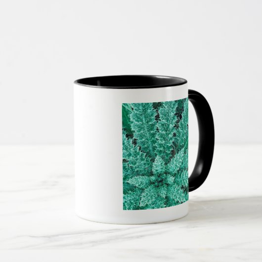 Mug Frost On Thistle, Parc National Olympique (Devant droit)