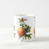 Mug Fruit de nourriture vintage, Grenade par Redoute (Centre)
