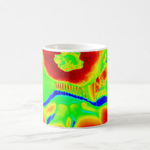 Mug fruit fluorescent