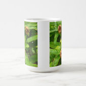 MUG FRUIT MODLAIRE (Centre)