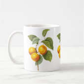 Mug Fruit vintage, Pêche à l'abricot par Redoute (Gauche)