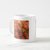 Mug Fruits tropicaux Rambutan (Devant gauche)