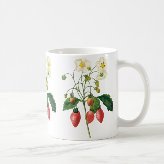 Mug Fruits vintages Fraises de fraises alimentaires pa (Droite)