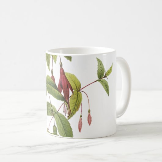 Mug fuchsia écarlate (Fuchsia coccinea) par Redouté (Devant droit)