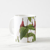 Mug fuchsia écarlate (Fuchsia coccinea) par Redouté (Devant gauche)