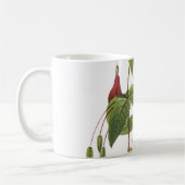 Mug fuchsia écarlate (Fuchsia coccinea) par Redouté (Gauche)