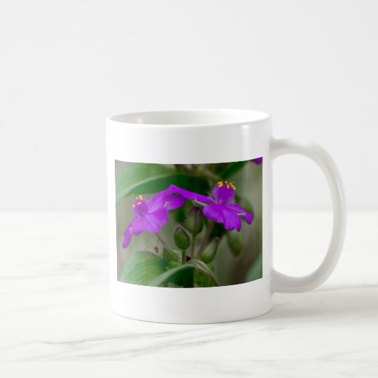 Mug Fuchsia Spiderwort Twins Fleur sauvage Cadeaux Vêt (Droite)