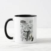 Mug Fucus de Conferra (Gauche)