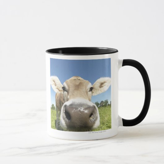 Mug Fuessen, Bavière, Allemagne (Droite)