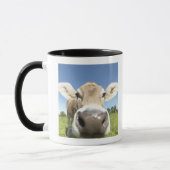 Mug Fuessen, Bavière, Allemagne (Gauche)