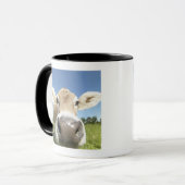 Mug Fuessen, Bavière, Allemagne (Devant gauche)