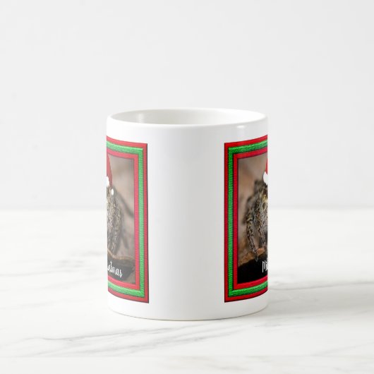 Mug Fun Jumping Spider à Santa Hat Noël (Centre)